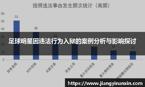 足球明星因违法行为入狱的案例分析与影响探讨